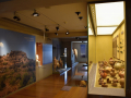 Neapoli Voion - Archeologické múzeum
