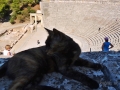 Epidaurus - naša spoločníčka v hľadisku divadla
