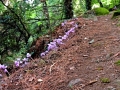 DSCN7484.JPG