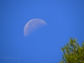 Megalopoli - mesiac na pravé poludnie
