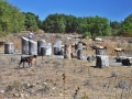 Pastier ženie svoje stádo oviec a kôz medzi ruinami Megalopoli