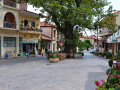 Nová Mystra, platan uprostred námestia, taký typický pre grécke dediny.