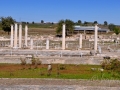 Zo starej Pelly sa zachovalo šesť jónskych stĺpov v Dionýzovom dome a dlažobná mozaika.
