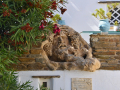 Pyrgos, Tinos, obdivujeme vonkajšiu výzdobu domu
