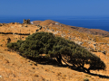 Ostrov Serifos, zvyšky mlyna za kláštorom Taxiarchos