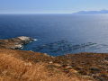 Ostrov Serifos - rybie sádky na juhovýchode