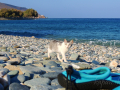 Tinos - pláže, Lichnaftia - zvedavá návštevníčka číslo dva