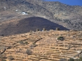 ostrov Tinos - ruiny mlynov cestou do Pyrgosu